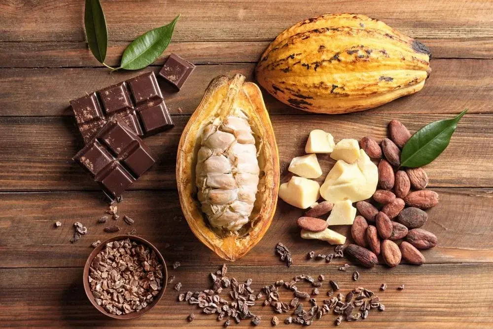 کاکائو و پودر کاکائو سرشار از آهن